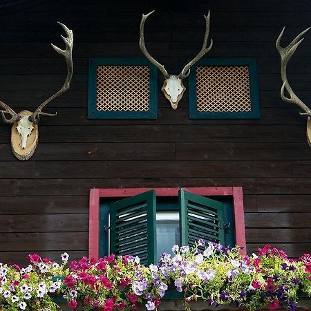 Angerer Alm Hotell Sankt Johann in Tirol Exteriör bild
